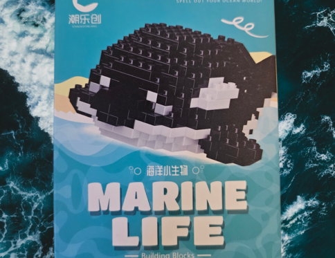 Marine Life Building Block Kits