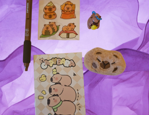 Capybara Cutie Set