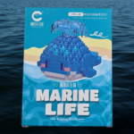 Happy the Blue Whale